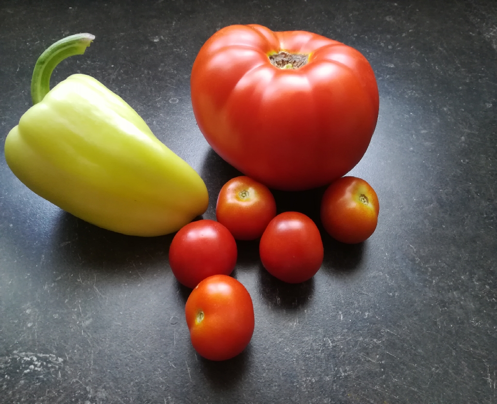 Paradajz - zašto je dobar paradajz