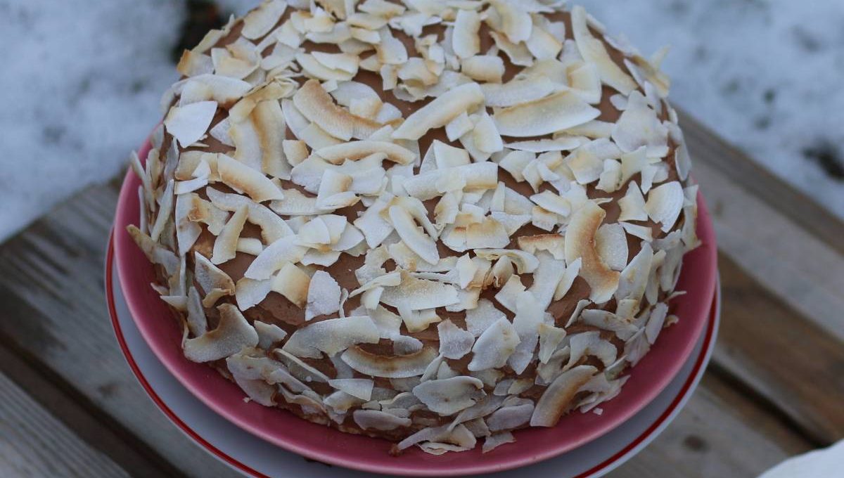 Lagana torta sa kokosom i čokoladom – torta bez brašna
