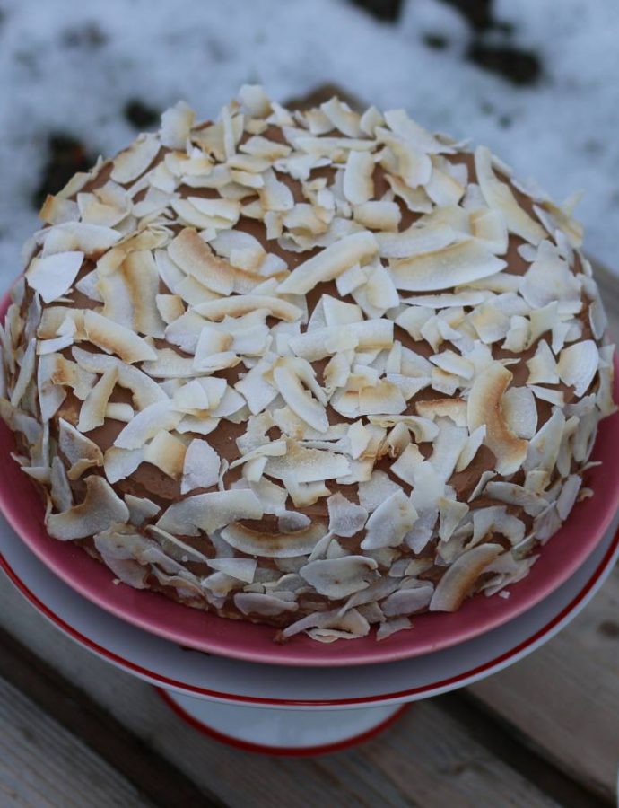 Lagana torta sa kokosom i čokoladom – torta bez brašna