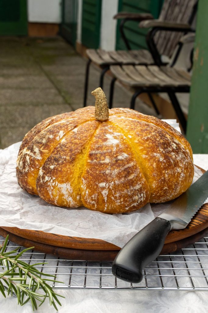 Tikvan - hljeb sa bundevom i prirodnim kvascem - starterom 2 tikvan1 L