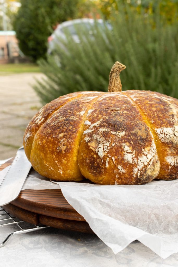 Tikvan - hljeb sa bundevom i prirodnim kvascem - starterom 7 tikvan3 L 1