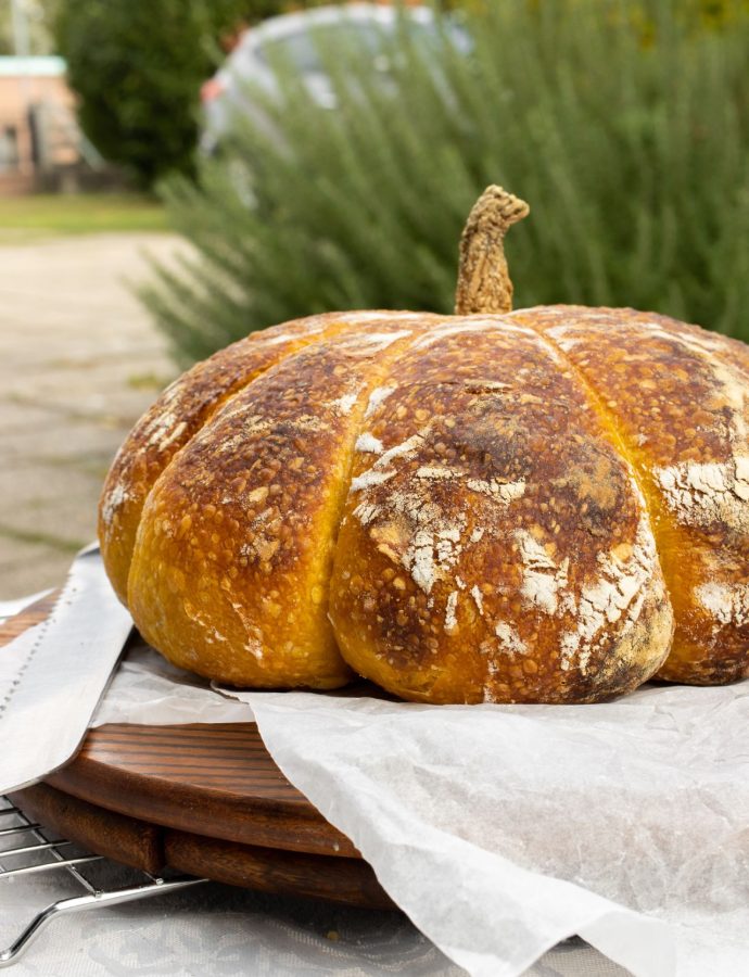 Tikvan - hljeb sa bundevom i prirodnim kvascem - starterom 17 Tikvan – hljeb sa bundevom i prirodnim kvascem – starterom